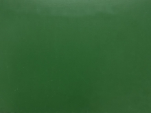 Ral 6005