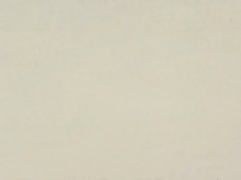 Ral 1015