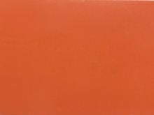 Ral 2004