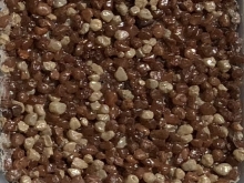 Sierra 5