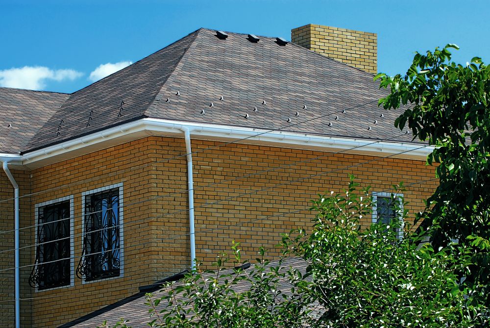 Традишнл Береста Традишнл Береста