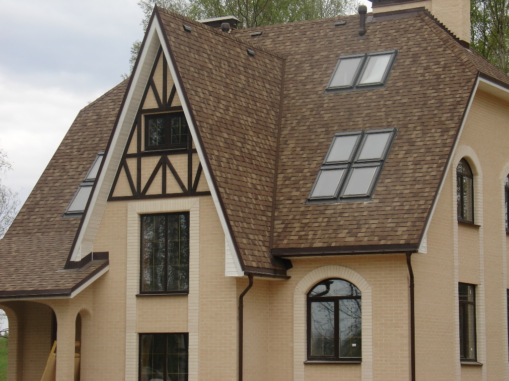 PIEMONTE castagna matura PIEMONTE castagna matura